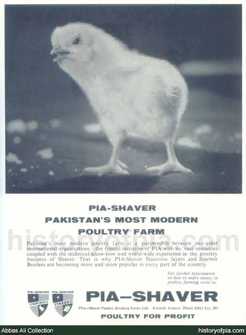PIA-Shaver Poultry Breeding Farms